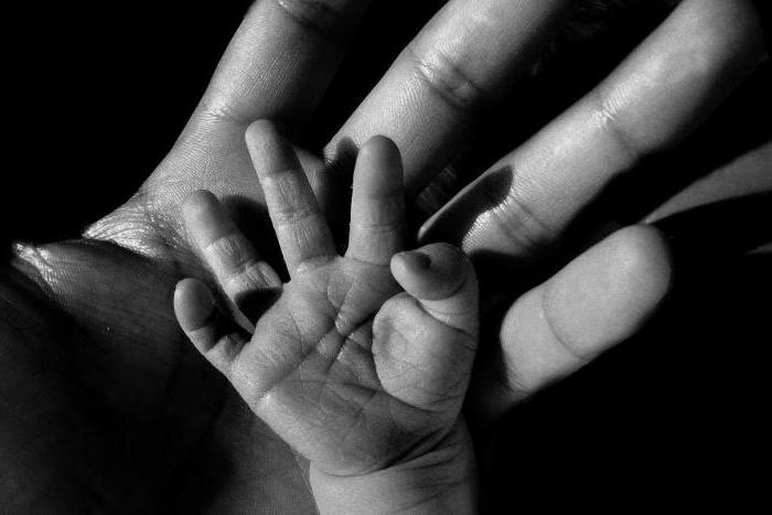 dekret om upprättande av faderskap och insamling av barnstöd