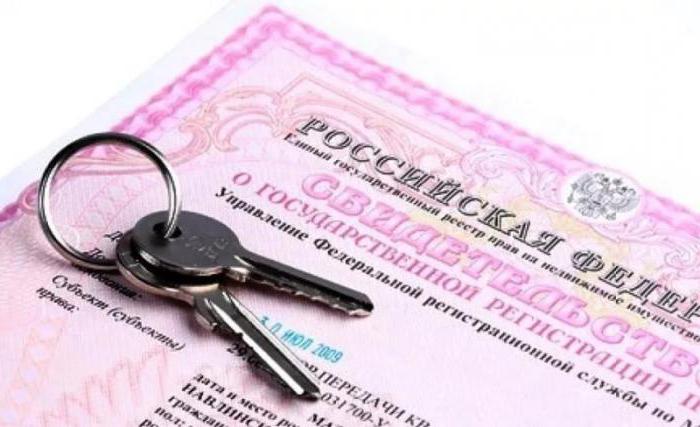 staatliche Registrierung des Eigentums an Immobilien