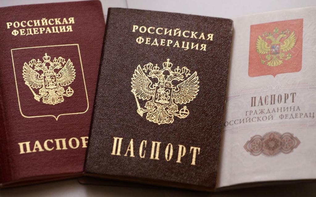 Vydávání pasů