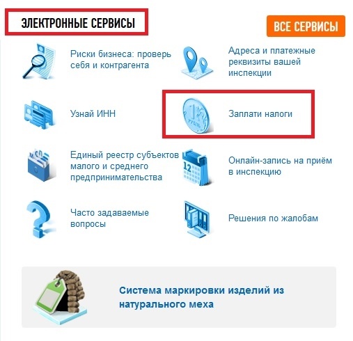 Website des Russischen Föderalen Steuerdienstes und Steuern