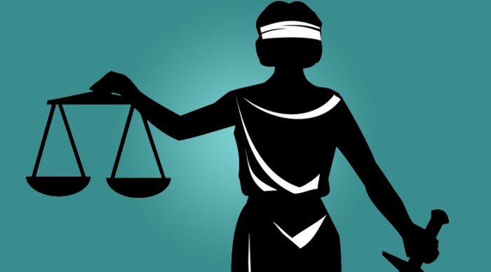 الشكل القضائي لحماية الحقوق المدنية