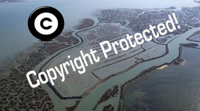 ochrana autorských práv na internetu