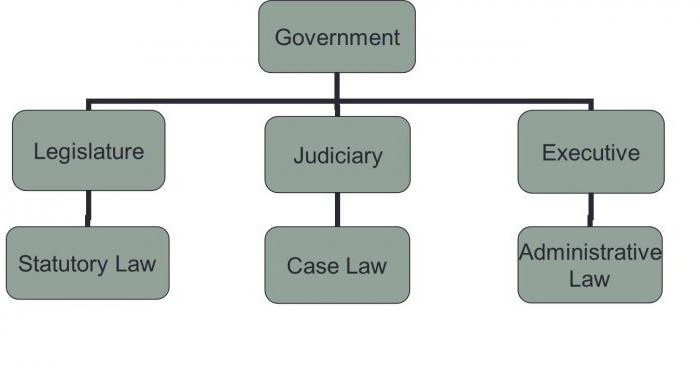 управленски функции административно право