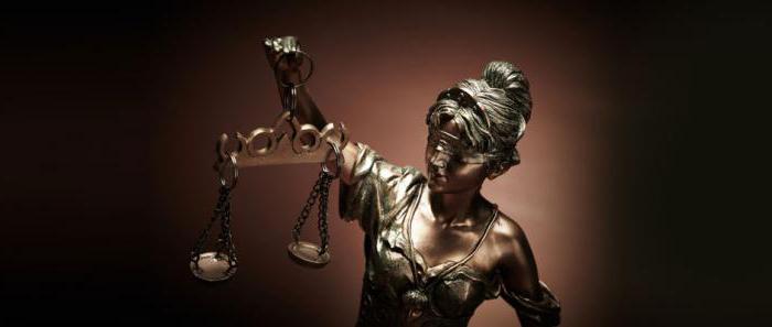 funcțiile și principiile dreptului administrativ