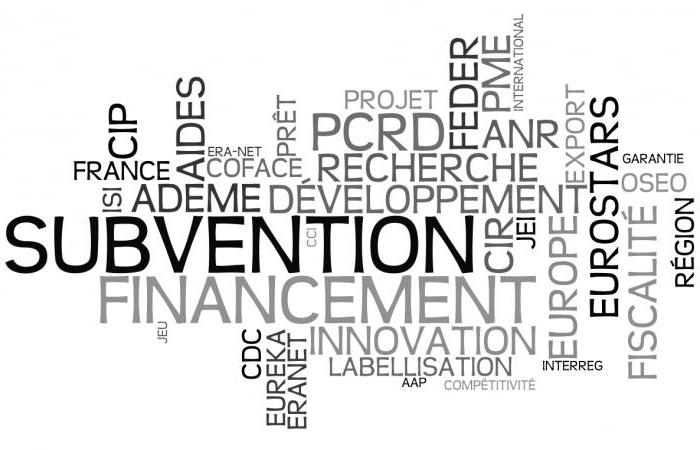 wat is subvention