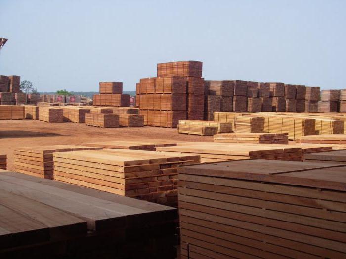 Podniky dřevařského průmyslu