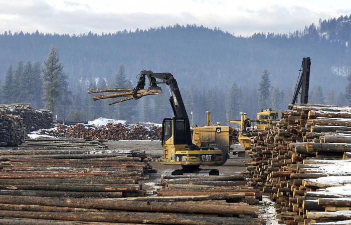 Development of the timber industry in Russia