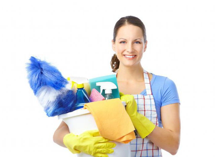store cleaner job responsibilities