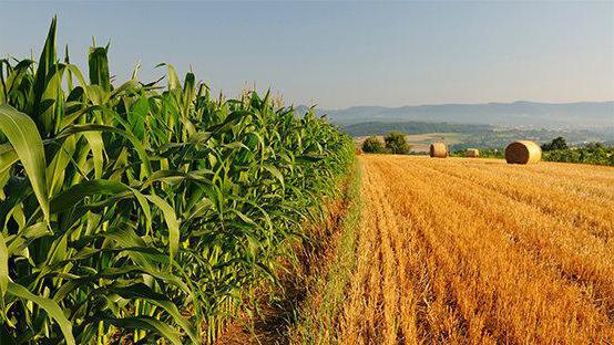 private Investition in landwirtschaftliche Angebote