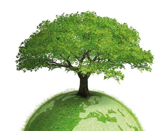 екологична политика