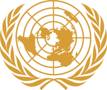 المبادئ الأساسية للقانون الدولي