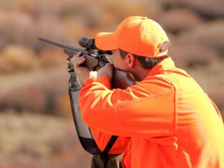 renouvellement d'un permis d'armes de chasse