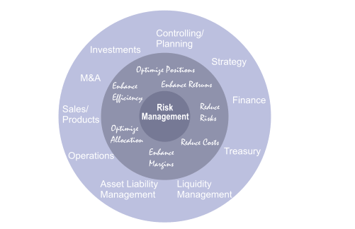 evaluarea sistemului de management al riscurilor