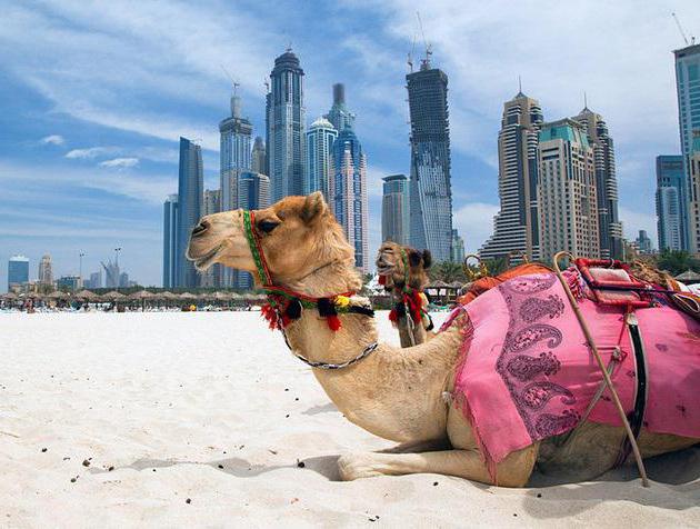 das teuerste Hotel in Dubai