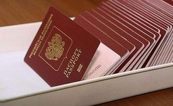 Státní povinnost za cestovní pas