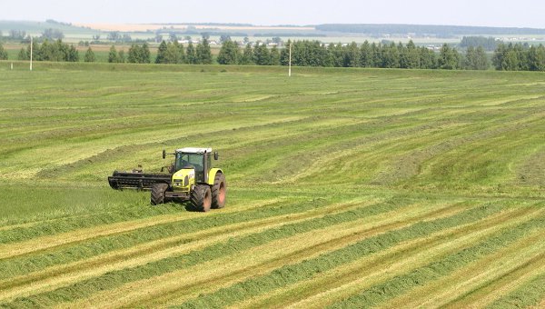 transfer of agricultural land to another category is carried out