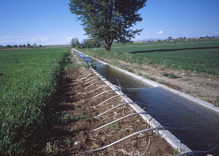 מערכת השקיה