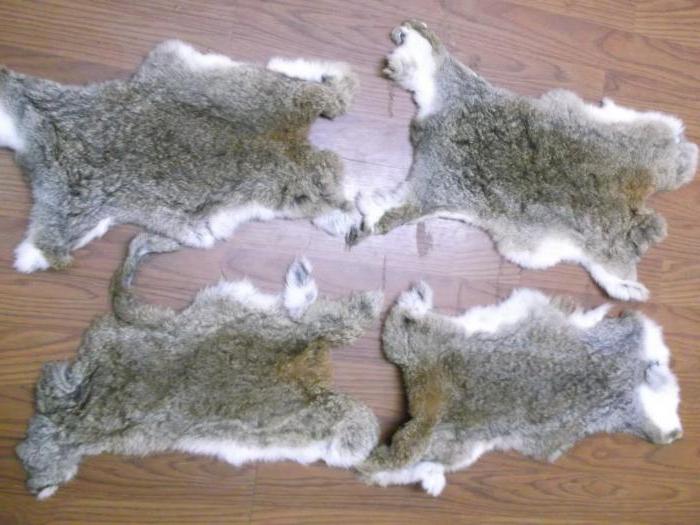 how to make rabbit skins at home tanning