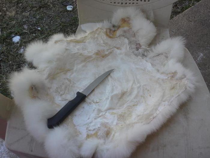 comment faire des peaux de lapin à la maison