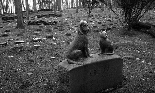 bedrijfsplan crematorium voor dieren