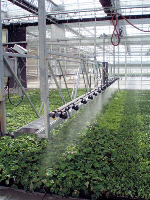 DIY växthusautomation