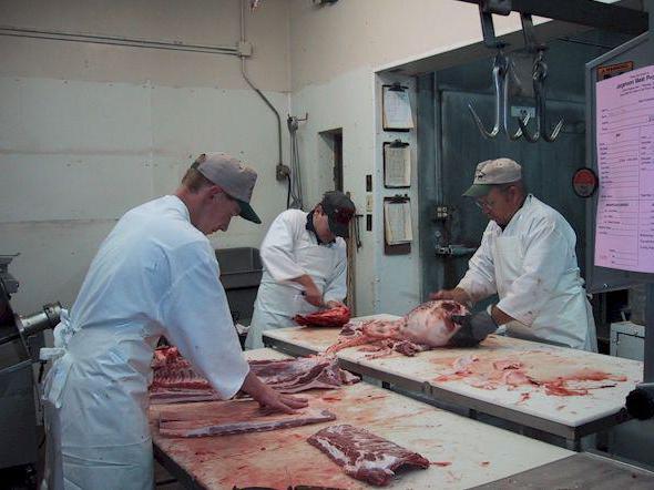 podniky zpracovávající maso