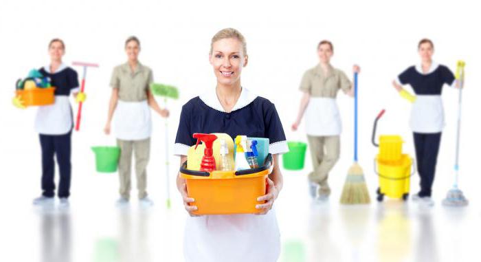 sample job description of a cleaning lady