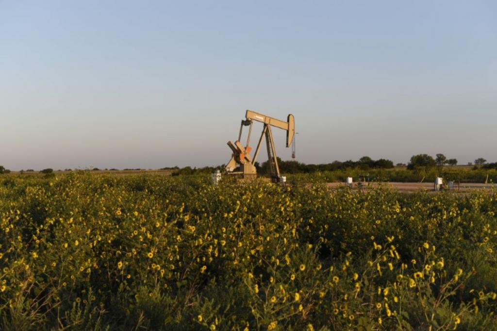 Ölförderung durch OPEC-Länder