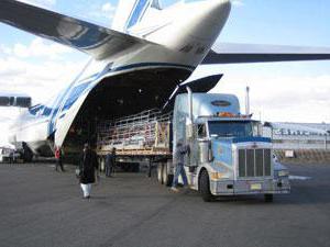 freight forwarder duties