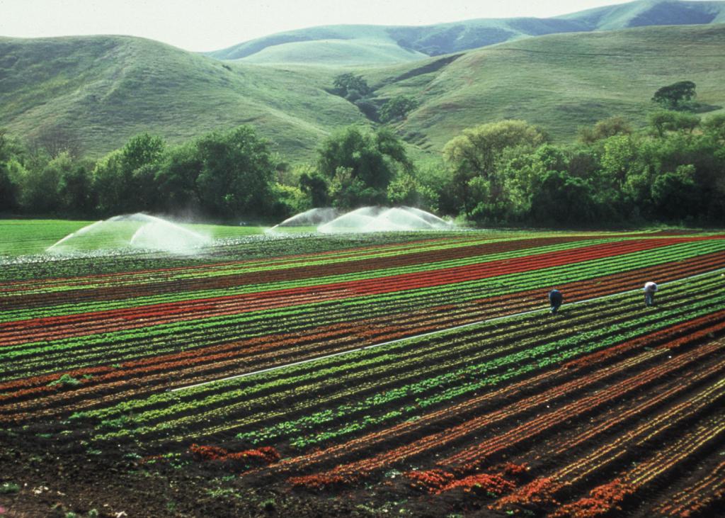 struktura zemědělské půdy