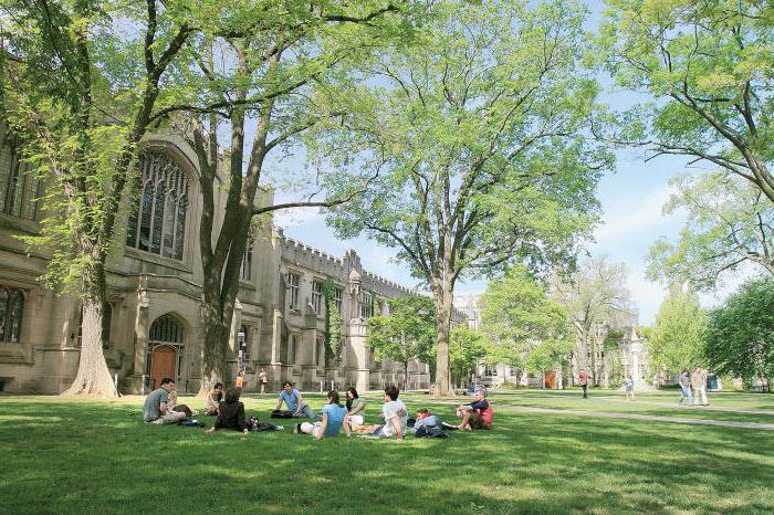 Princeton Universität