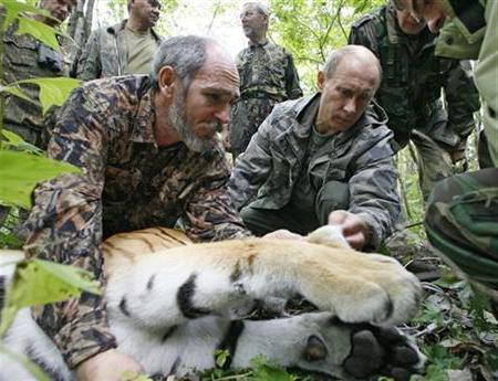 проблеми с бракониерството в Русия и решения