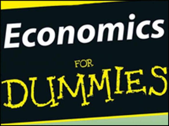 theorie van economie boek