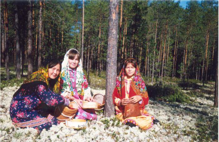 Oroszország északi részének kis népei