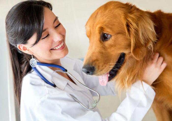 Farmacii veterinare din NEAD (Moscova)
