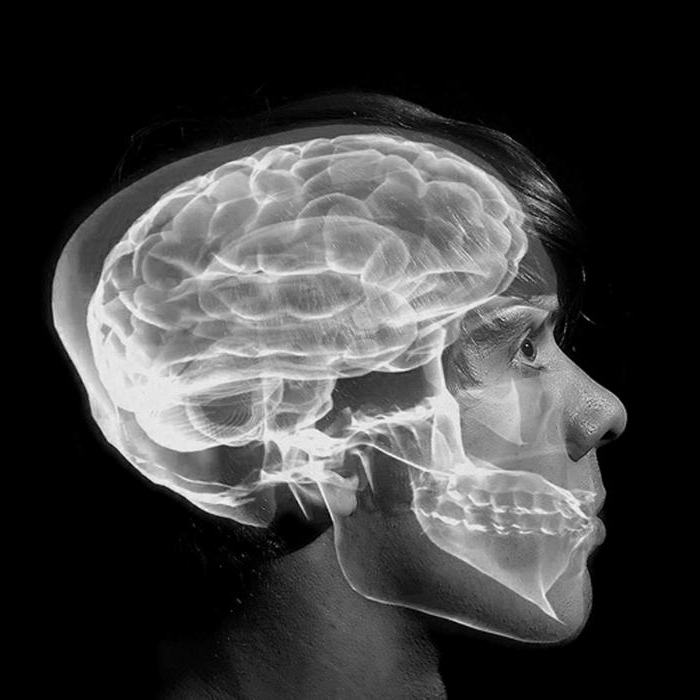 cum să dezvolți emisfera creierului