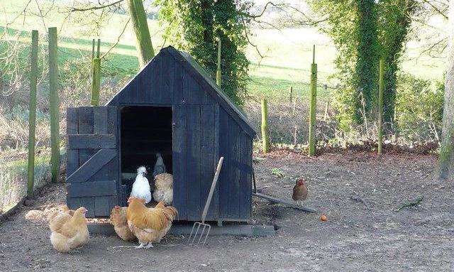 Hühnerstall auf dem Land