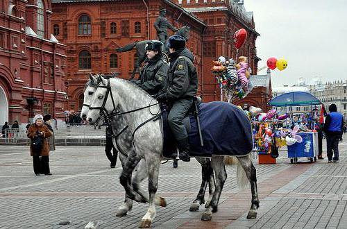 az Orosz Föderáció rendőrségéről szóló törvény