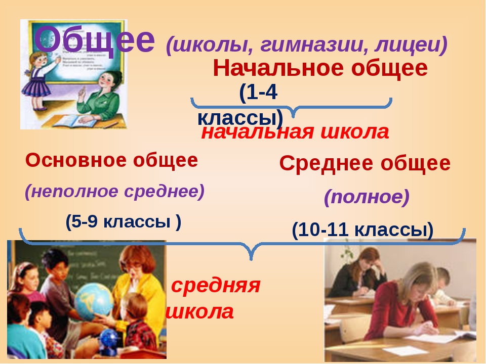 struktura vzdělávání v Ruské federaci