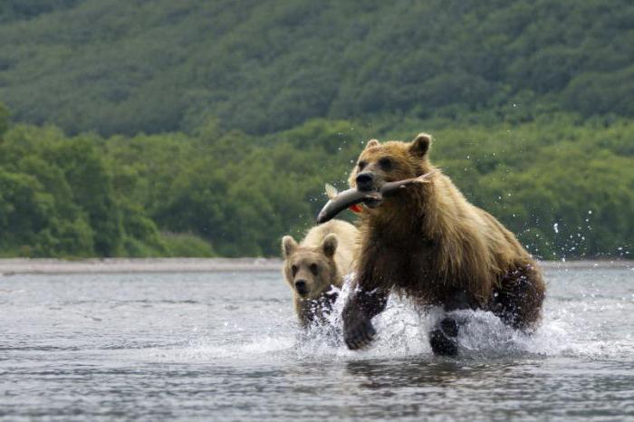 natuurlijke parken van Rusland lijst