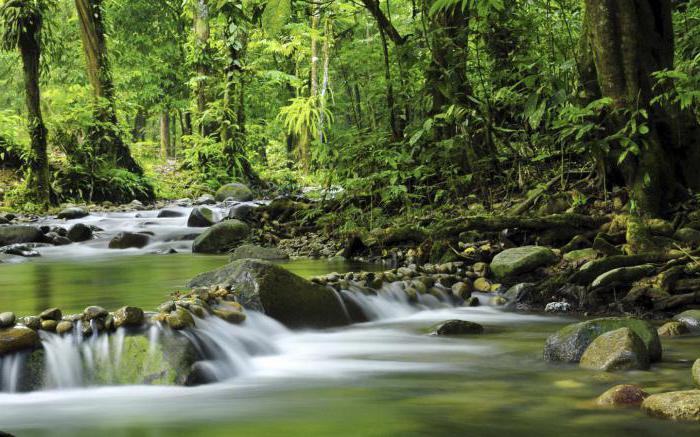 Menschenrecht auf eine gesunde Umwelt