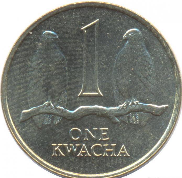 care este moneda zambiei