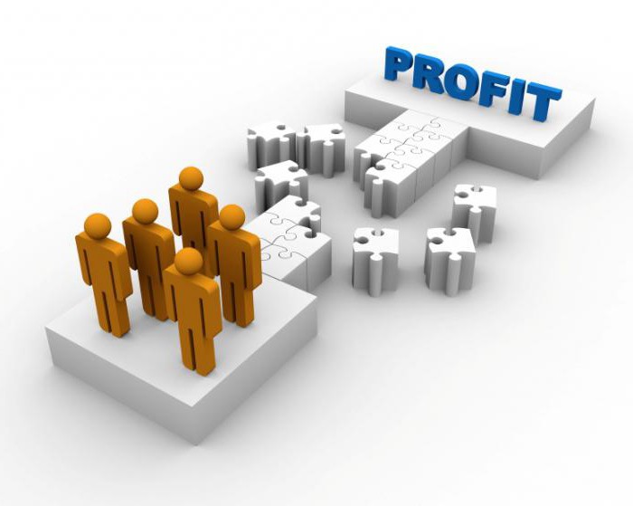 planificarea profitului și rentabilitatea