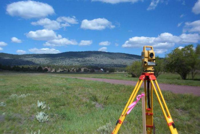 duties of a cadastral engineer when surveying a land plot