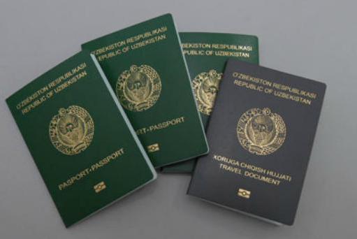 Verzicht auf die Staatsbürgerschaft von Usbekistan