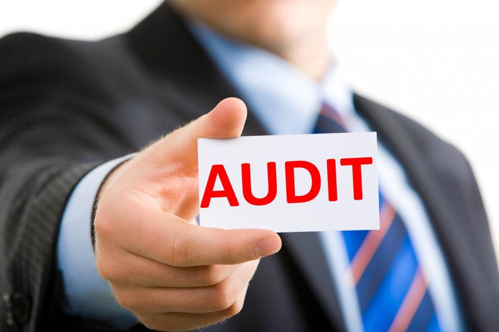 basisprincipes van wettelijke regulering van auditactiviteiten