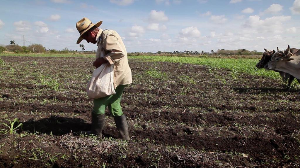 Trabajo de campo