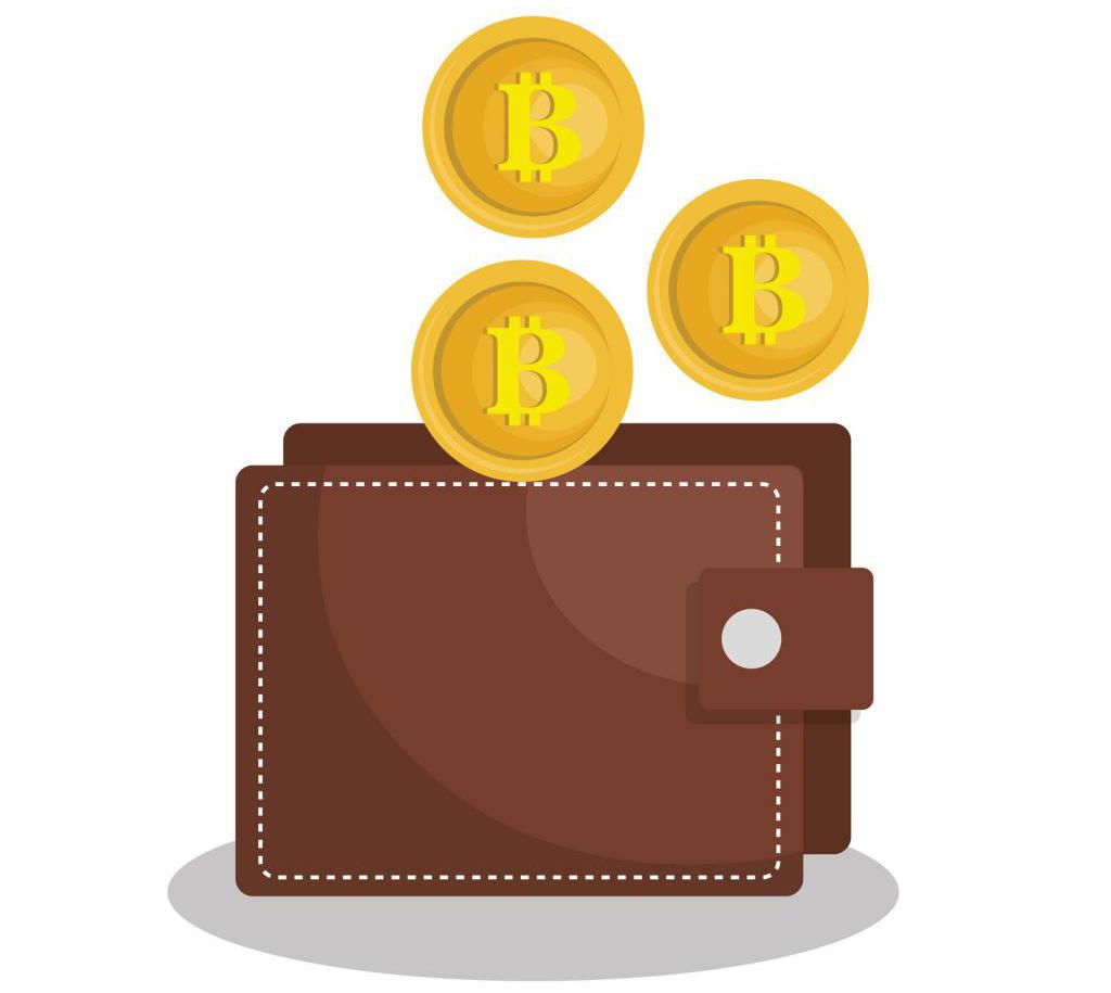 hur man drar tillbaka bitcoin till en plånbok