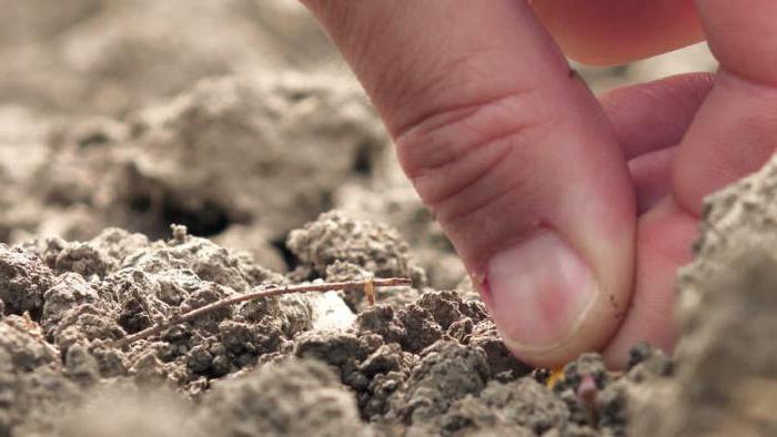 SNP talaj tömörítési tényezők