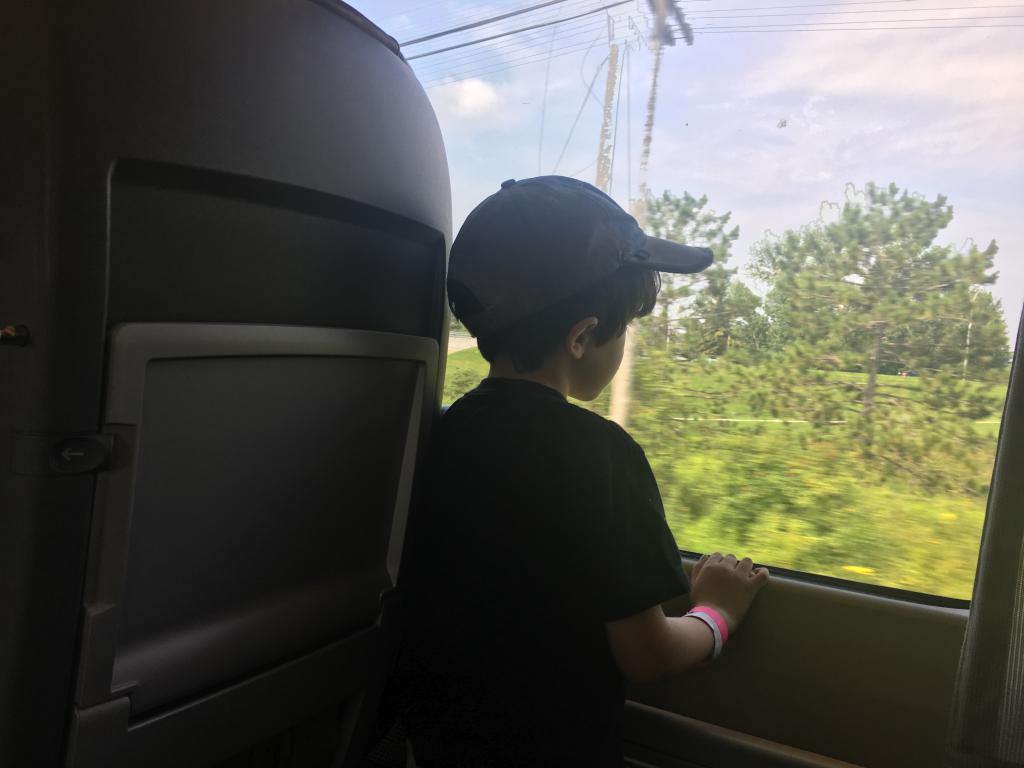 Fiú a vonaton